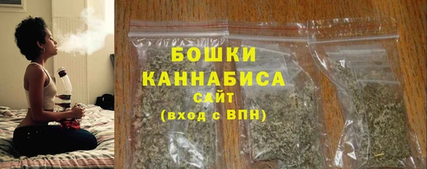 прущие грибы Балабаново