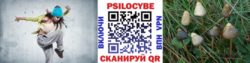 Галлюциногенные грибы мицелий  продажа наркотиков  Калининец 